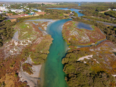 Blue stream running through colourful coastal wetland