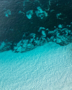 Shallow seawater and seaweed. Esperance. Western Australia.