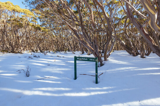 Mt St Phillack in Baw Baw Shire Australia