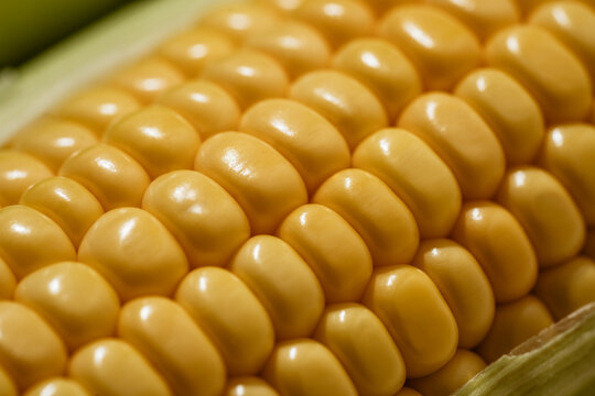 Corn texture