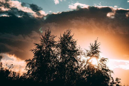 Sunset over trees silhouetted against the sky