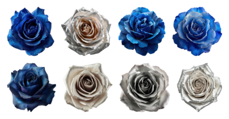 PNG Elegant blue silver rose collection, element set on transparent background