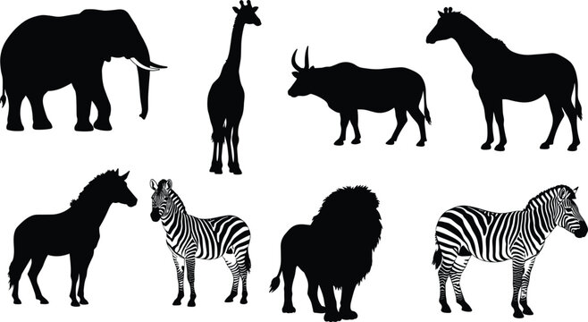 jungle animal outlines