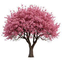 Naklejka premium A solitary vibrant tree exploding with pink blossoms against a stark black backdrop