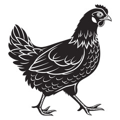 Black silhouette of a chicken walking