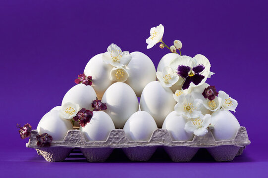 Flowered white eggs on purple backdrop