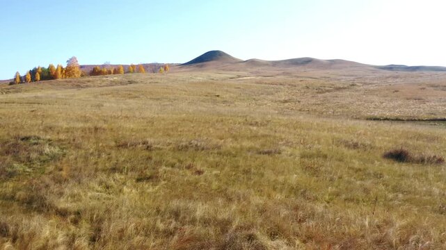 An aerial shot of the Shihan Juraktau mountain in the South Ural region of Russia during the autumn season. The landscape is covered in dry, golden grass with a line of birch trees displaying their ye