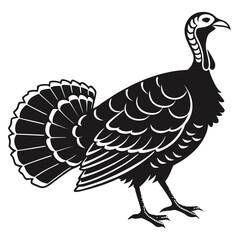 Black silhouette of a turkey with fanned tail