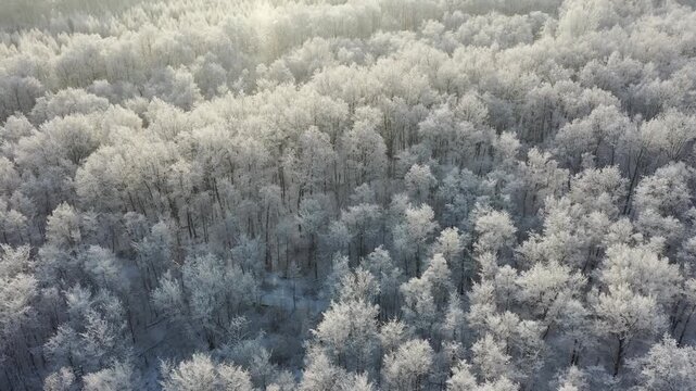 An aerial drone shot captures a winter landscape in the South Urals region of Russia. The footage shows a vast forest blanketed in pristine white snow, with frost covered trees sparkling under the bri