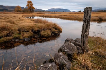 Rustic Countryside Pond And Trees