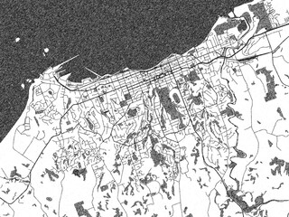 Minimalist monochrome city map of New Plymouth, New Zealand, illustrated with urban detail.