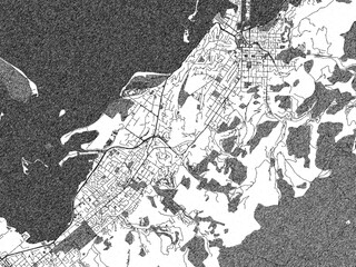 Black and white illustrated map of Nelson, New Zealand, with streets, rivers, and neighborhoods.