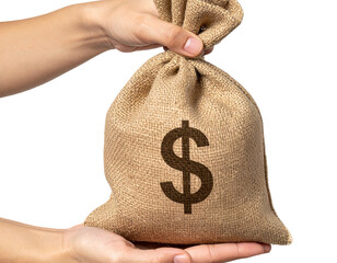 - Close-Up Hand Presenting Dollar Marked Sack
