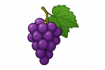 Purple grapes growing on vine with green leaf. Cartoon illustration representing healthy fruit, food, and freshness