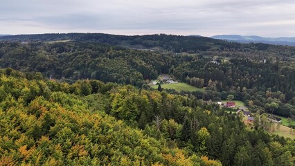 Obraz premium Breathtaking Scenic Aerial View of a Beautiful and Lush Forest Landscape with Vivid Colors