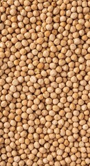Fototapeta premium Dried Chickpeas Raw Organic Legumes Background Texture, Wholesome Food Ingredient