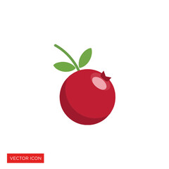 A single red cranberry with green leaves attached to its stem, isolated on a white background.