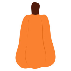 illustration of pumpkin 