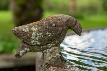 Antique stone dove covered with moss on a garden fountain