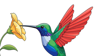 Obraz premium Colorful hummingbird feeding on a vibrant flower (11)