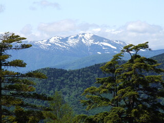 Obraz premium The view from Mt. Niko Shirane（日光白根山からの景色）