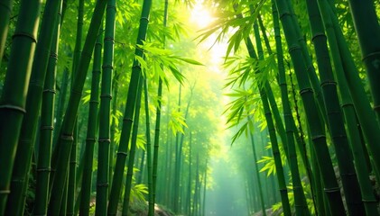 Serene Sunlight Filtering Through Lush Bamboo Grove Peaceful Asian Nature Scene