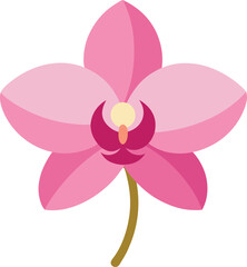 Stylized Pink Orchid Flower Vector Illustration