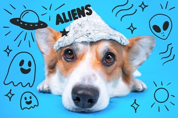 Playful corgi wearing a foil hat surrounded by fun alien and ufo doodles on a bright blue background, capturing imagination and humor for pet lovers.