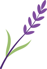 Minimalist Flat Design Lavender Sprig Vector Illustration
