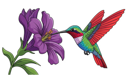 Colorful hummingbird feeding on vibrant purple flower (12)
