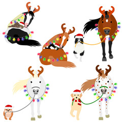 horse with dog and cat friend in Christmas costume set