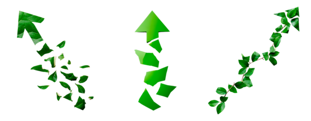Green arrow symbols with leaves and foliage elements on transparent background