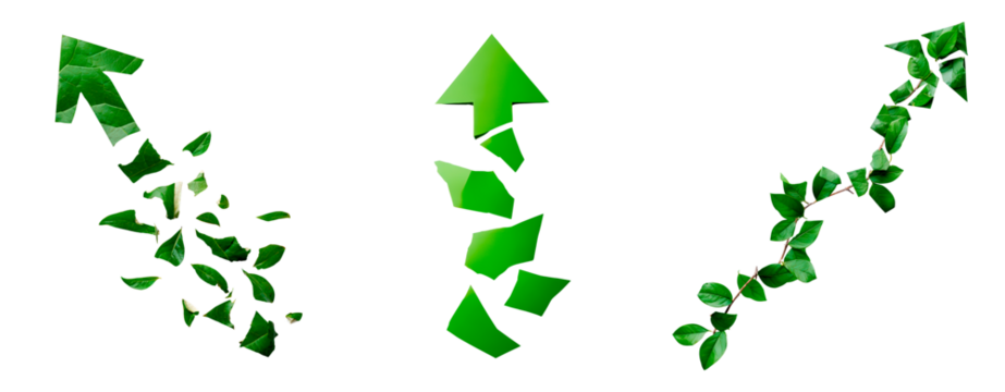 Green arrow symbols with leaves and foliage elements on transparent background - Powered by Adobe