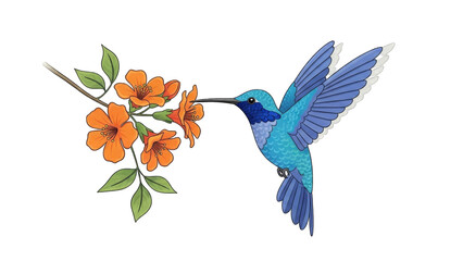 Fototapeta premium blue hummingbird with its long beak in an orange trumpet flower, feeding on nectar.