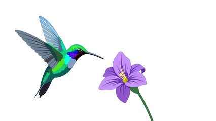 Obraz premium green hummingbird hovers near a delicate purple flower, its wings blurred with motion.