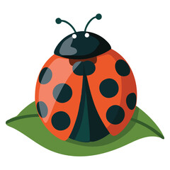 Ladybug icon cute vector illustration for print on childrens clothing, insect and fauna biology elements, badge sticker or notebook creative design
