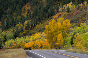 Scenic CO-133 (Colorado state highway) with brilliant golden foliage in Colorado.