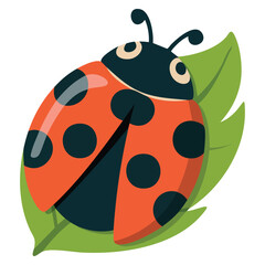 Vector illustration of cute ladybug icon ideal for childrens clothing prints, fauna insect biology element, sticker label or notebook and diary design