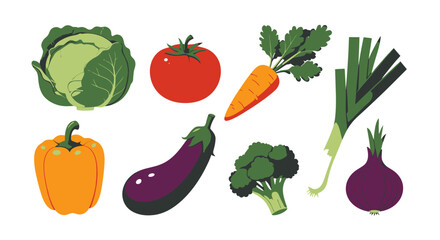 A colorful collection of fresh, healthy vegetables including cabbage, tomato, carrot, leek, bell pepper, eggplant, broccoli, and onion, presented as a vector illustration.