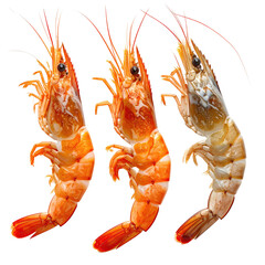 Three cooked shrimp with vibrant orange and brown hues, against a black background