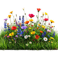 A vibrant cluster of colorful wildflowers blooming amidst green grass on a black background