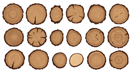 A collection of various wooden log cross sections showing different grain patterns and textures