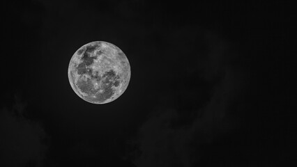 full moon in the night