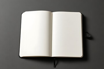 open book with blank pages