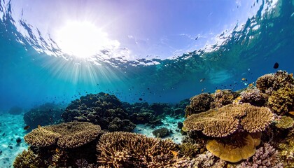 Fototapeta premium Underwater view of vibrant coral reef with sunlight streaming through the surface, teeming with marine life