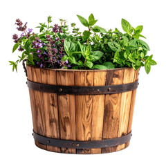 Assorted fragrant herbs thrive in a rustic wooden barrel