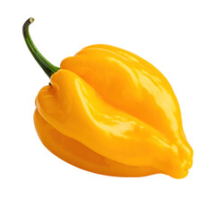 Isolated photo of a vibrant, ripe yellow pepper with a green stem on a black background