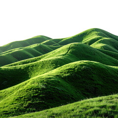 Rolling hills bathed in vibrant green, with a dark, empty sky