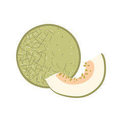 Melon Hand Drawing Vector Illustration