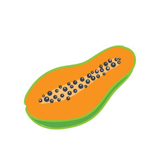 Papaya Hand Drawing Vector Illustration